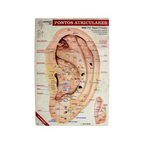 Mapa Ilustrado dos Pontos Auriculares - Prof Wagner P Fonseca